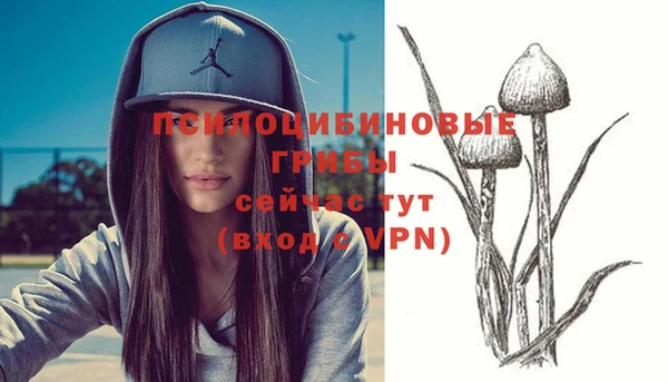 гидра Абинск