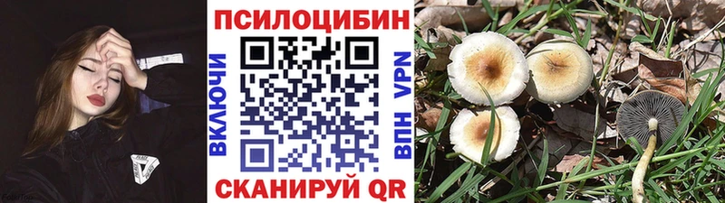 Псилоцибиновые грибы мицелий  Орёл 